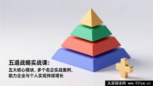 (17095期)战略实战进阶课:5大核心模块+名企真实案例,企业个人增长突破课-每日必学网