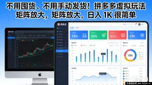 （17100期）拼多多虚拟商品零囤货零发货！矩阵运营放大收益，日赚1000+真不难-每日必学网