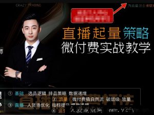 半野老师-直播带货起量与微付费必学课视频号2026年1月(价值980元)_-每日必学网