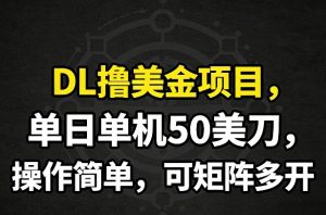 DL撸美金项目，单日单机50美刀，操作简单，可矩阵多开-每日必学网