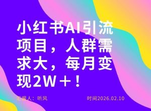 她通过这个AI项目每月做到2W＋的收入，最新小红书AI项目，人群需求大！-每日必学网