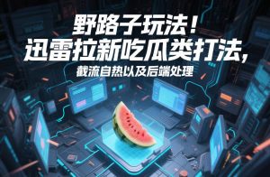 野路子玩法！迅雷拉新吃瓜类打法，截流自热以及后端处理-每日必学网