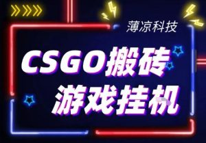 CSGO游戏挂G游戏搬砖最新升级，普通小白一部手机可日入3张+当天见结果，支持验证【揭秘】-每日必学网