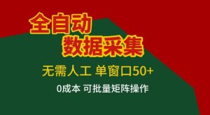 全自动数据采集项目，无需人工，单窗口可达50+收益，操作简单无难度，一个人也能轻松实现矩阵【揭秘】-每日必学网