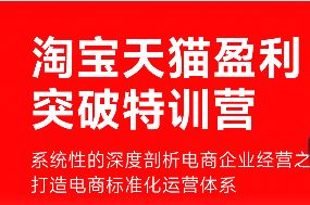 玺承-淘宝天猫盈利突破特训营线下课2025年12月20日（价值39800元）_-每日必学网