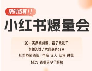 戴小胖小红书爆量会线上课2026年2月2(价值4980元)_-每日必学网