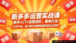 (17342期)拼多多新手店铺运营实操课,从0起步到爆单全流程教学,16节硬核干货,助力新店快速达成日出百单业绩-每日必学网