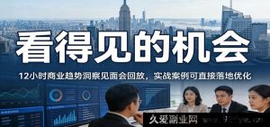 2026必看的商业风口！12小时趋势洞察闭门会回放 可直接落地的实战干货案例-每日必学网