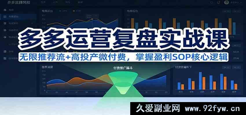 图片[1]-拼多多店铺运营实战复盘课：算法推荐流量引爆+低预算高投产付费玩法，吃透盈利SOP全逻辑（2024新版更新）-每日必学网