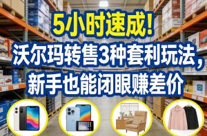 5小时速成！沃尔玛转售3种套利玩法，新手也能闭眼賺差价-每日必学网