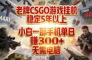 老牌CSGO游戏挂G，稳定5年以上，小白一部手机单日賺3张+，无需电脑【揭秘】-每日必学网