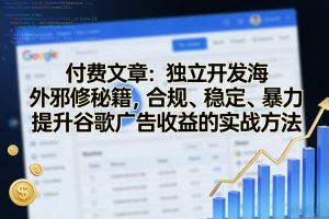 付费文章：独立开发海外邪修秘籍，合规、稳定、暴力提升谷歌广告收益的实战方法-每日必学网