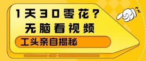 1天30零花？无脑看视频，大佬亲自揭秘-每日必学网
