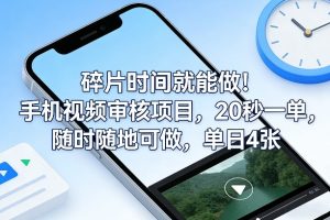 碎片时间就能做！手机视频审核项目，20秒一单，随时随地可做，单日4张+【揭秘】-每日必学网