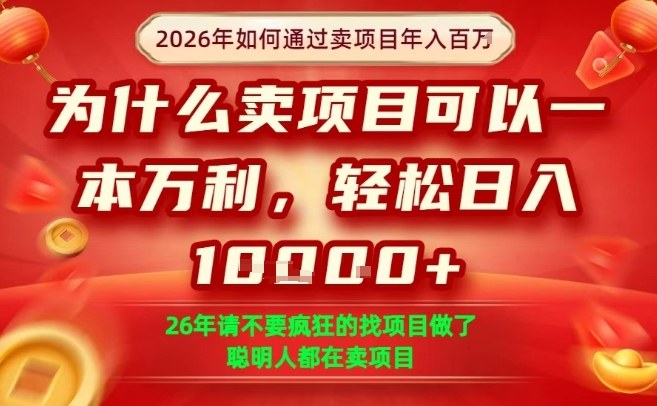 一单净利润1K+,26年想年入100个W,死磕卖项目就够了【揭秘】-每日必学网