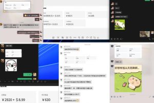 雷神加速器项目模拟器_无脑1分钟1条视频矩阵_疯狂报单打法【焚诀】-每日必学网